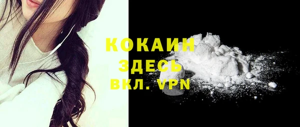 прущие грибы Каменск-Шахтинский