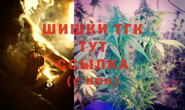 прущие грибы Каменск-Шахтинский