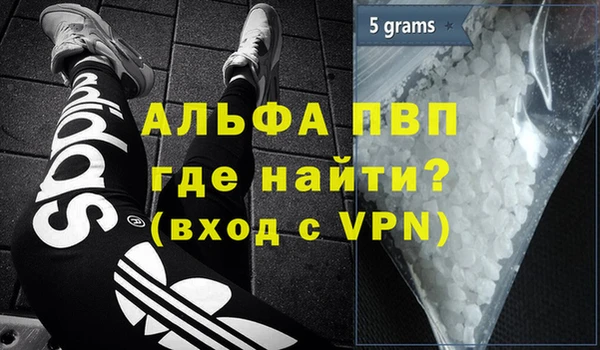стафф Карпинск