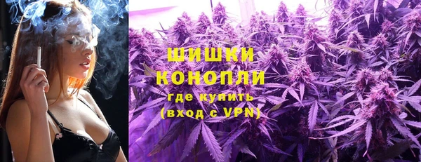 прущие грибы Каменск-Шахтинский