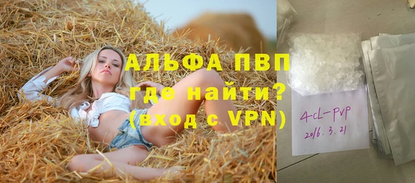 прущие грибы Каменск-Шахтинский