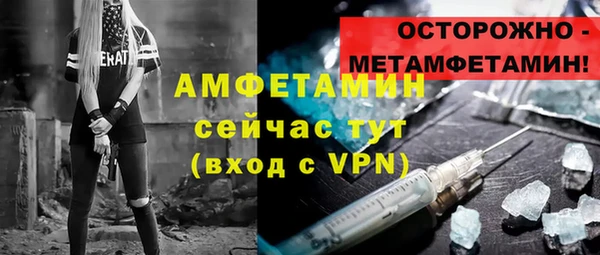 прущие грибы Каменск-Шахтинский