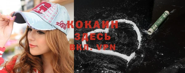прущие грибы Каменск-Шахтинский
