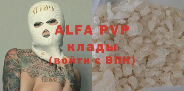 стафф Карпинск