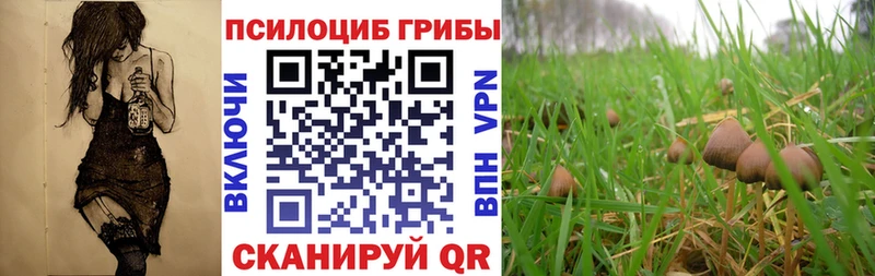 Галлюциногенные грибы прущие грибы  Купить где  Дмитров 
